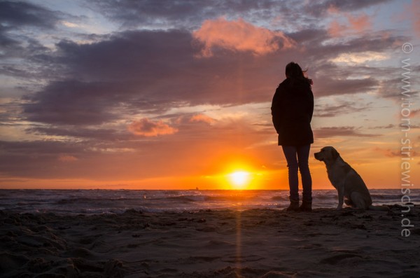 Illustration zu: "Ein Sonnenuntergang, hier mit Mensch und Hund, ist ein beliebtes Motiv für Urlaubsfotos."