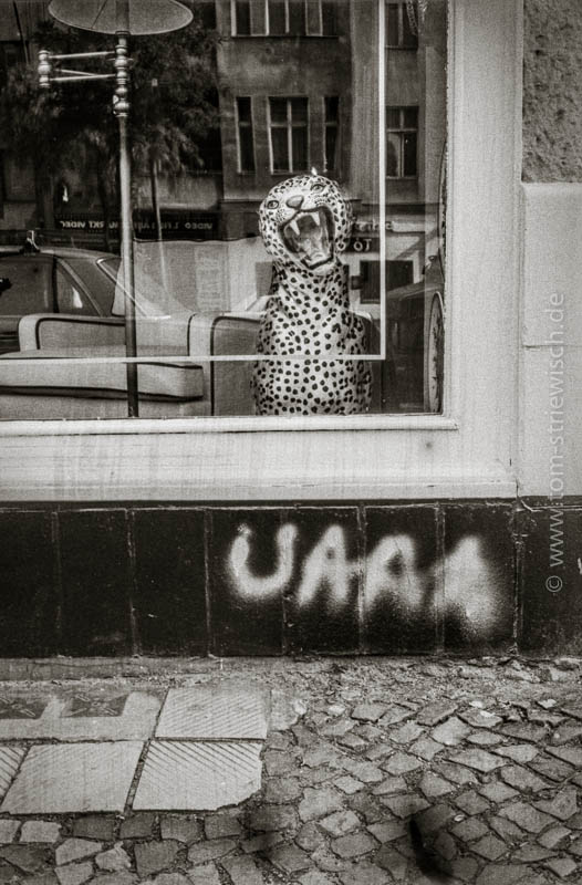 Jaguar in Berlin (1983) - Ilford HP5