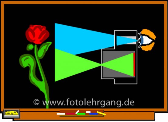 Durch die Parallaxe zwischen Sucher und Objektiv sieht der Fotograf die Blüte, fotografiert wird aber der Stängel. (Illustration aus dem „Fotolehrgang im Internet“.