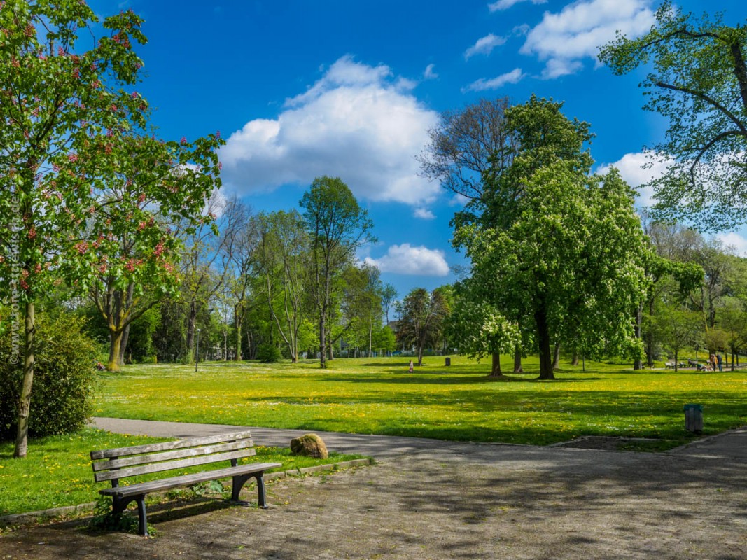 Der "Central Park" von Frohnhausen