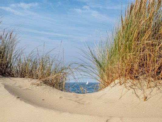 Aus den Tipps für bessere Urlaubsfotos: Urlaubsmotiv - Dünen