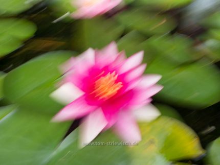 Illustartion zum Thema Verwackeln