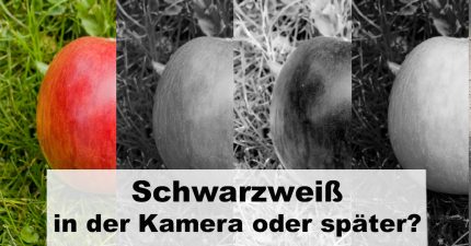Illustration zum Beitrag: "Schwarzweiß-Digitalfotografie – Umwandlung in der Kamera oder später?"