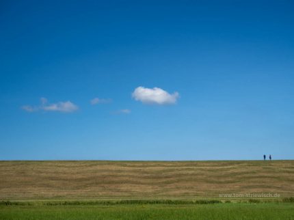 Illustration: Am Deich © Tom! Striewisch