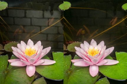 Illustration: Ein Polfilter unterdrückt störenden Spiegelungen auf einer Wasseroberfläche